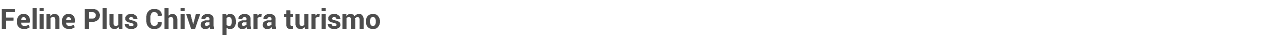 Feline Plus Chiva para turismo